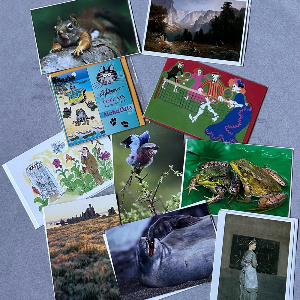 Pomegranate ~ Set of 10 Notecards